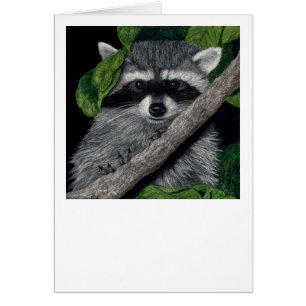 "Local Bandit" Racoon Card