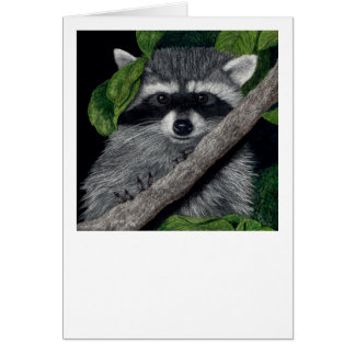 "Local Bandit" Racoon Card