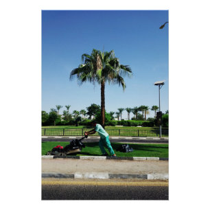 Local resident is engaged in landscaping in Egypt Poster