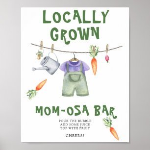 locally grown baby shower - Momosa bar Poster
