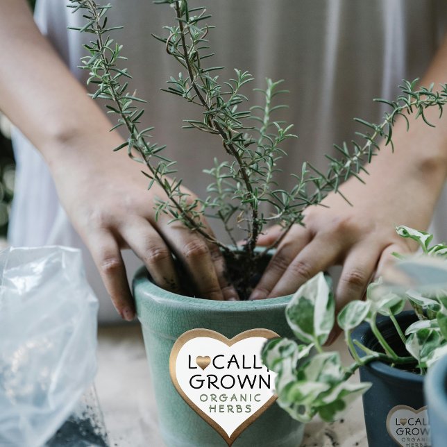 Locally Grown Organic Herbs  Bronze Heart  Heart Sticker (Creator Uploaded)