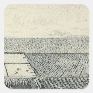 Locan Vineyard, Fresno Square Sticker