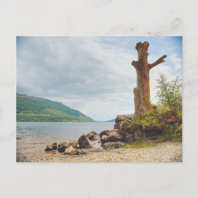 Loch Lomond, Scotland Postcard (Front)