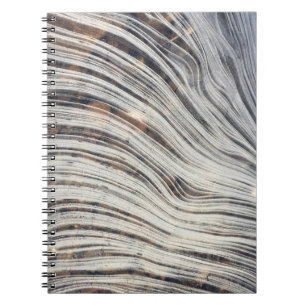 Loch Ness Ice Notebook