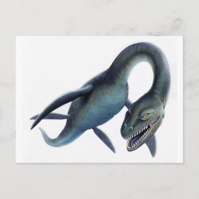 Loch Ness Monster Postcard (Front)