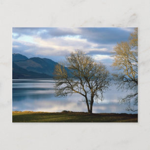 Loch Ness, Scotland Postcard