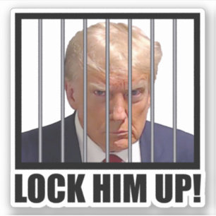 Lock Him Up! Trump Mugshot
