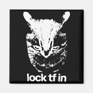 Lock TF in Cat Funny Cats Meme Graphics Quotes Magnet