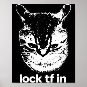 Lock tf in cat funny gen z meme shitpost graphic poster