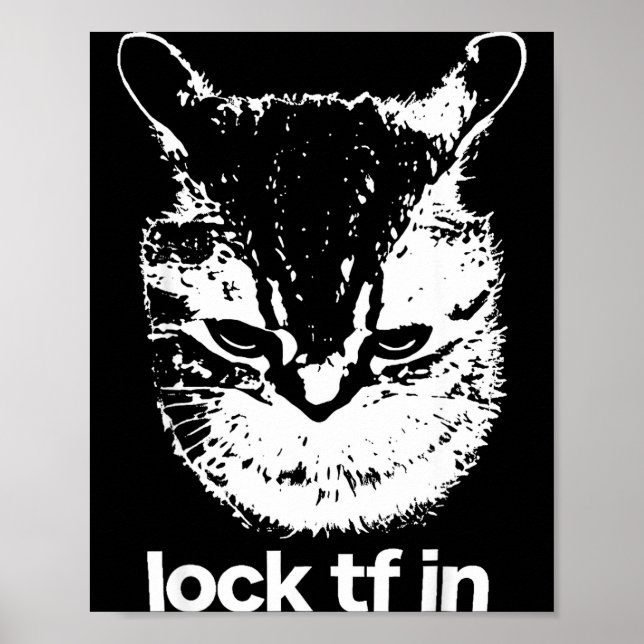 Lock tf in cat funny gen z meme shitpost graphic poster (Front)