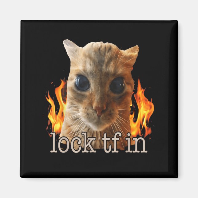 Lock tf in cat magnet (Front)