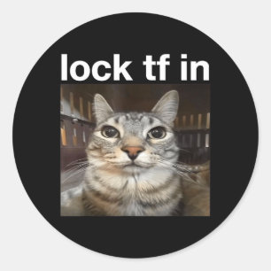 Lock TF in Cat Meme Classic Round Sticker