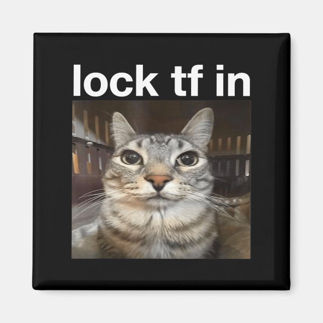 Lock TF in Cat Meme Magnet (Front)