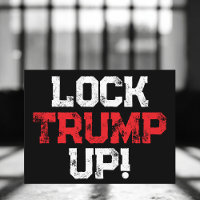 Lock Trump Up Political