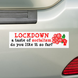Lockdown Bumper Sticker
