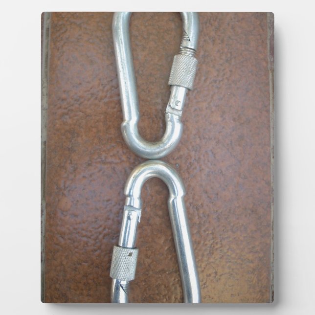 Locked In: Durable Steel Carabiner Lock Design Plaque (Front)
