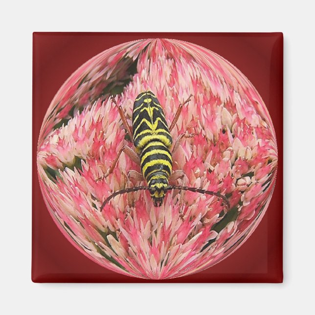 Locust Borer 3 ~ magnet (Front)