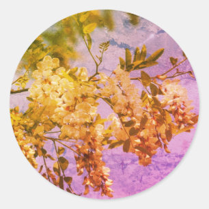 Locust Flower Blossoms Art Classic Round Sticker