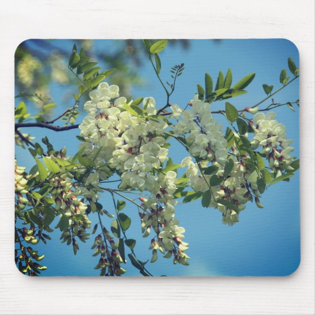 Locust Flower Blossoms  Mouse Pad (Front)