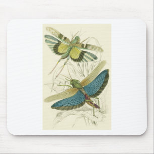 Locusta Cristata (lower), Locusta flava (upper) Mouse Pad