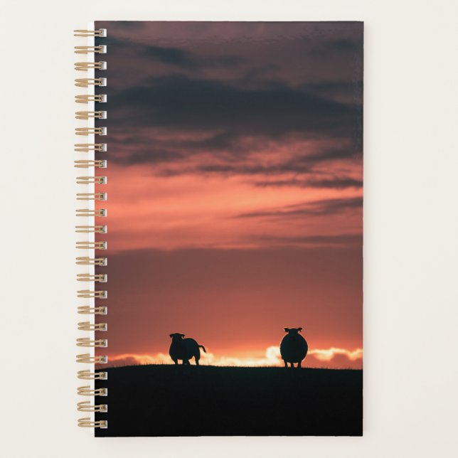 Lofoten Islands Sheep Planner (Front)