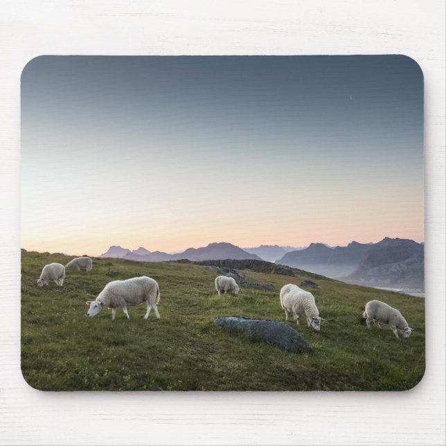 Lofoten Sheep Mouse Pad (Front)