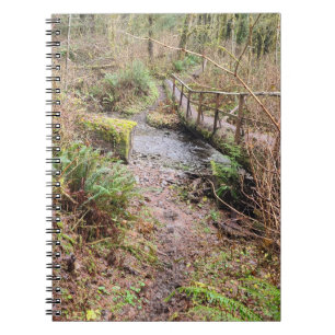 Log Bridge  Notebook