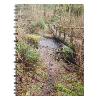 Log Bridge  Notebook