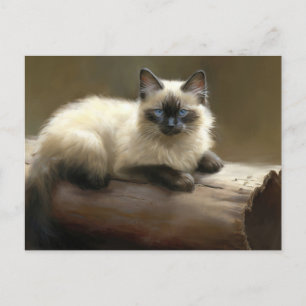 Log Lounger Siamese Kitten Postcard