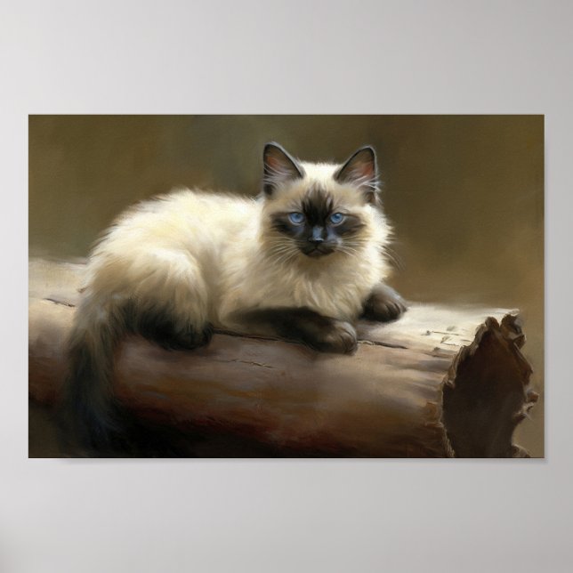 Log Lounger Siamese Kitten Poster (Front)