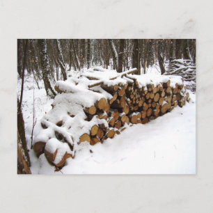 Log Pile in the Woods Postcard