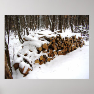 Log Pile in the Woods Poster