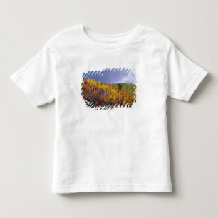 Logan Canyon in Utah in autumn with passing Toddler T-Shirt