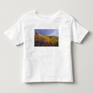 Logan Canyon in Utah in autumn with passing Toddler T-Shirt