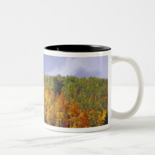 Logan Canyon in Utah in autumn with passing Two-Tone Coffee Mug