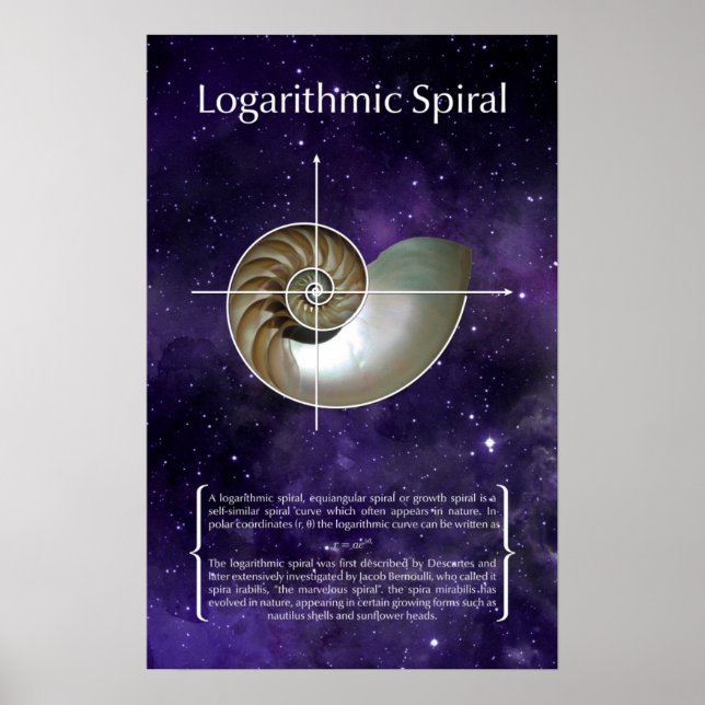 Logarithmic Spiral Poster (Front)