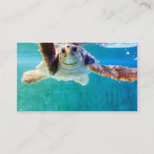 Loggerhead #4 Mini Print Business Card