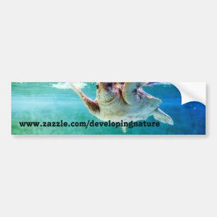 Loggerhead #5 Bumper Sticker