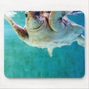 Loggerhead #5 Mousepad