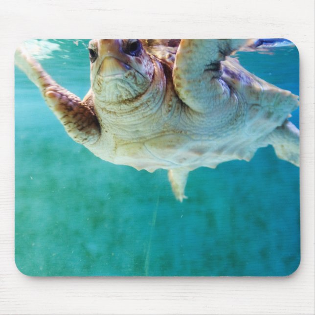 Loggerhead #5 Mousepad (Front)