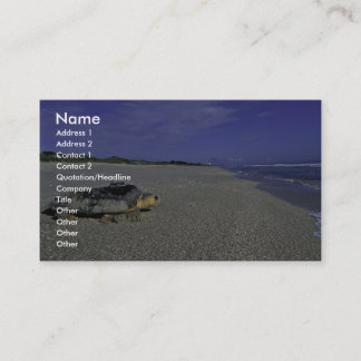 Loggerhead Sea Turtle at Archie Carr National Wild Business Card