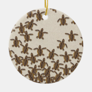 Loggerhead Sea Turtle Hatchlings Melamine Plate Ceramic Ornament