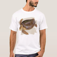 Loggerhead Sea Turtle T-shirt