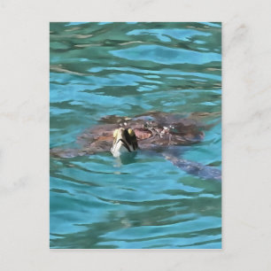Loggerhead Sea Turtle Wildlife Art Postcard