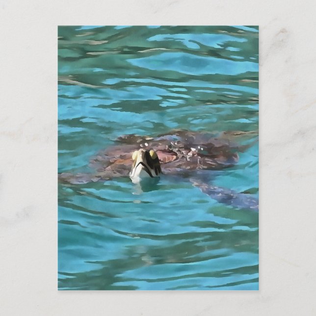Loggerhead Sea Turtle Wildlife Art Postcard (Front)