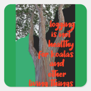 Logging is not Healthy for Koalas, Square Sticker