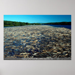 Logging on the Fraser River, British Columbia, Can Poster