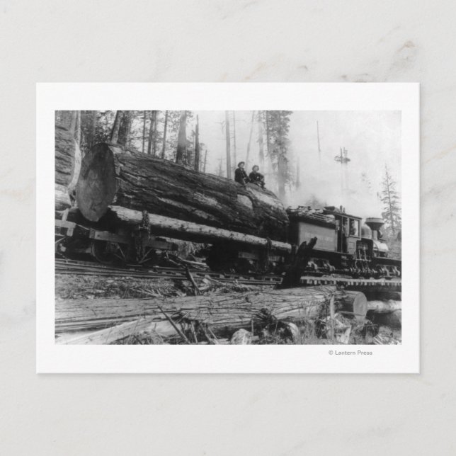 Logging Train carrying men and Postcard (Front)