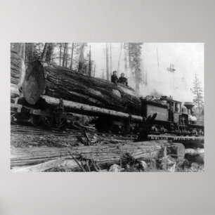 Logging Train carrying men and Poster