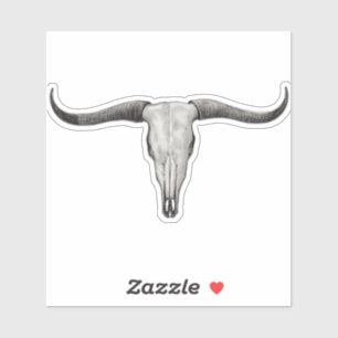 Loghorn Steer Bull Skull